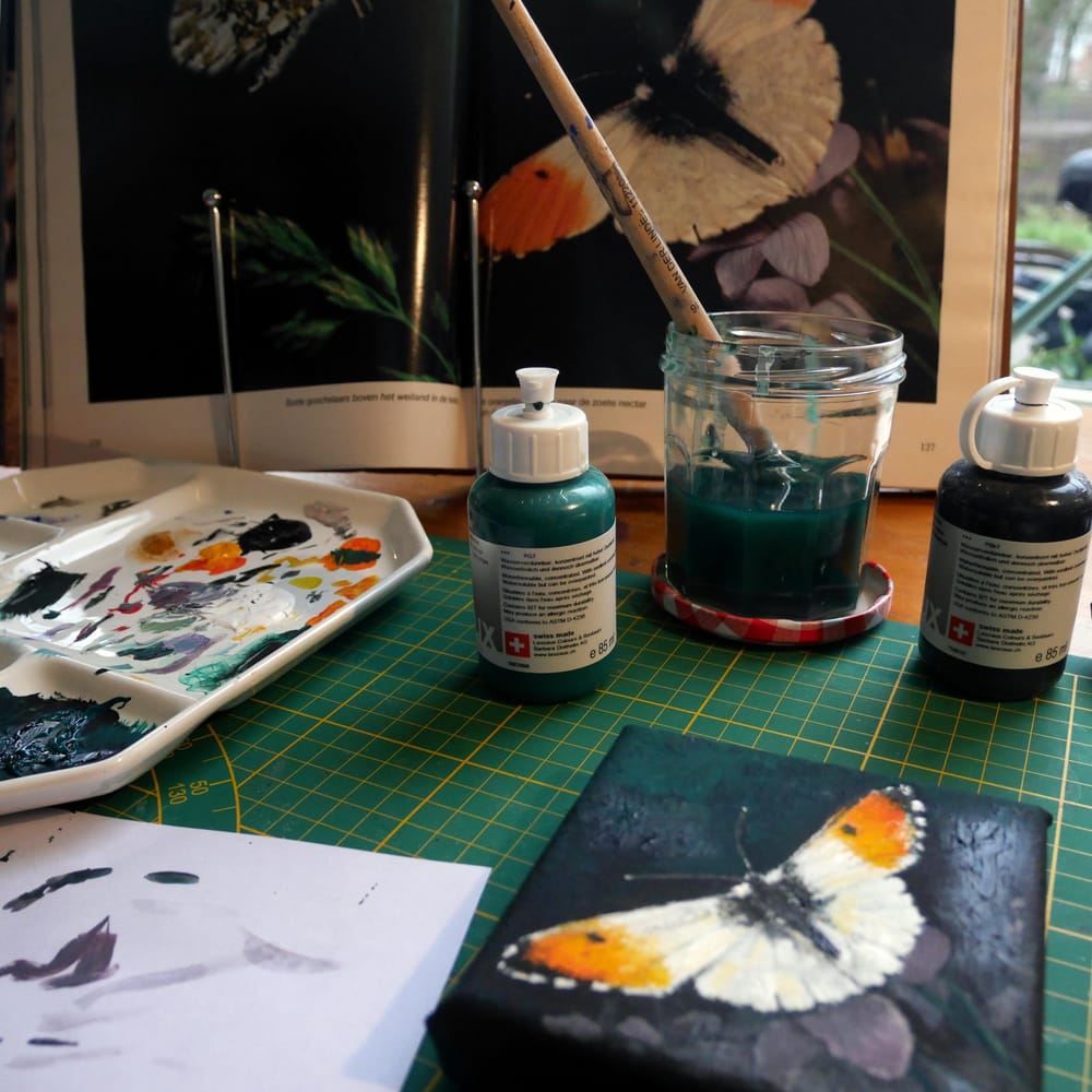 Butterfly gouache painting: Orange-tip - image 3 - student project