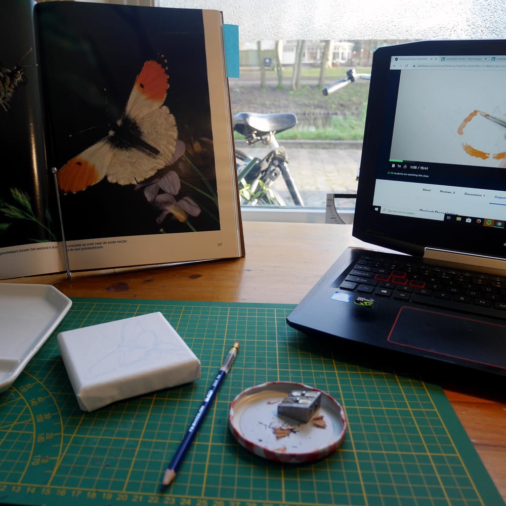 Butterfly gouache painting: Orange-tip - image 2 - student project