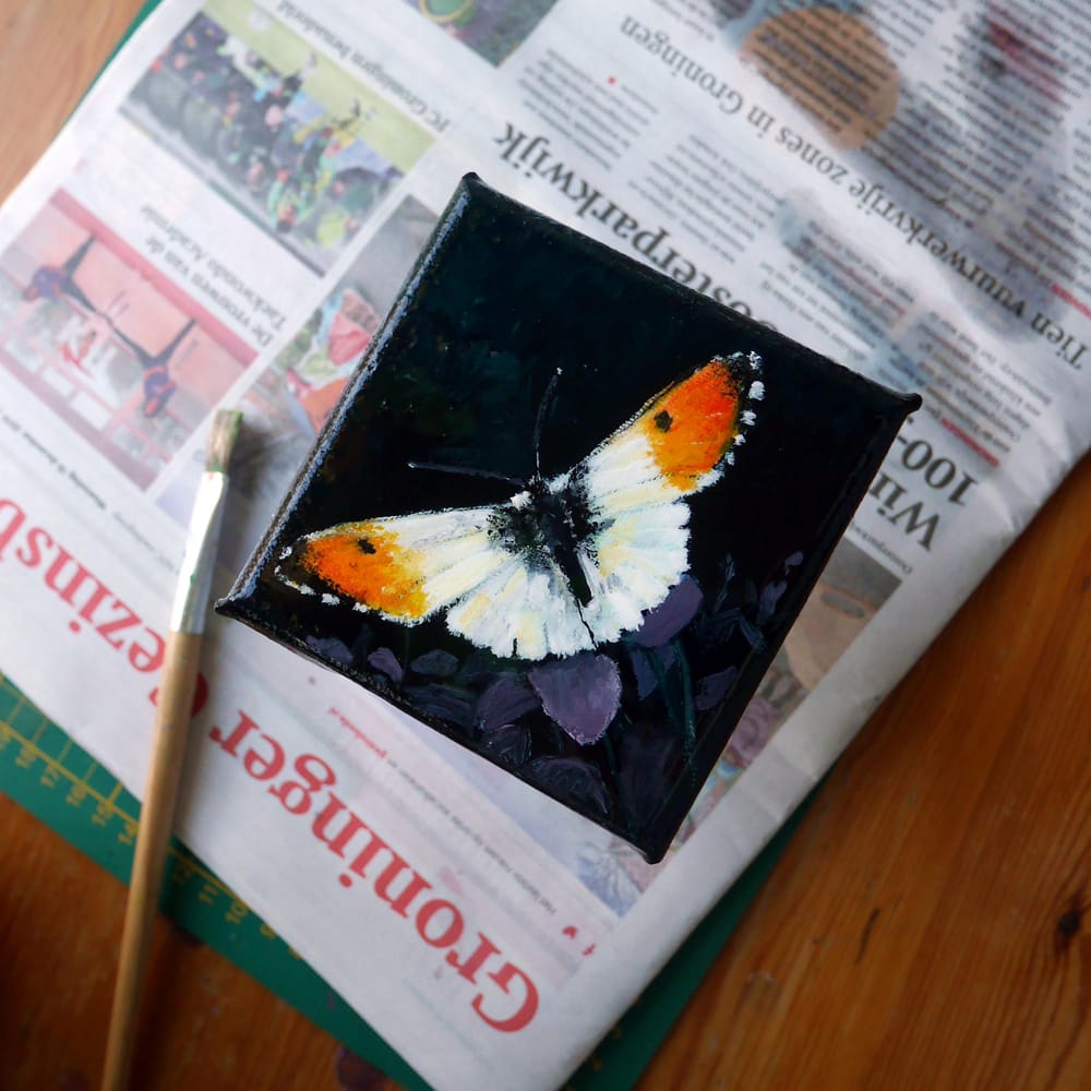 Butterfly gouache painting: Orange-tip - image 5 - student project