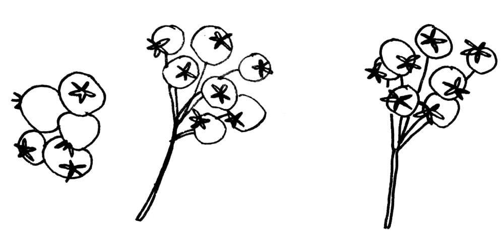 Modern Floral - image 2 - student project