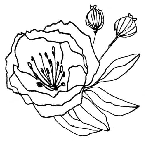 Modern Floral - image 4 - student project