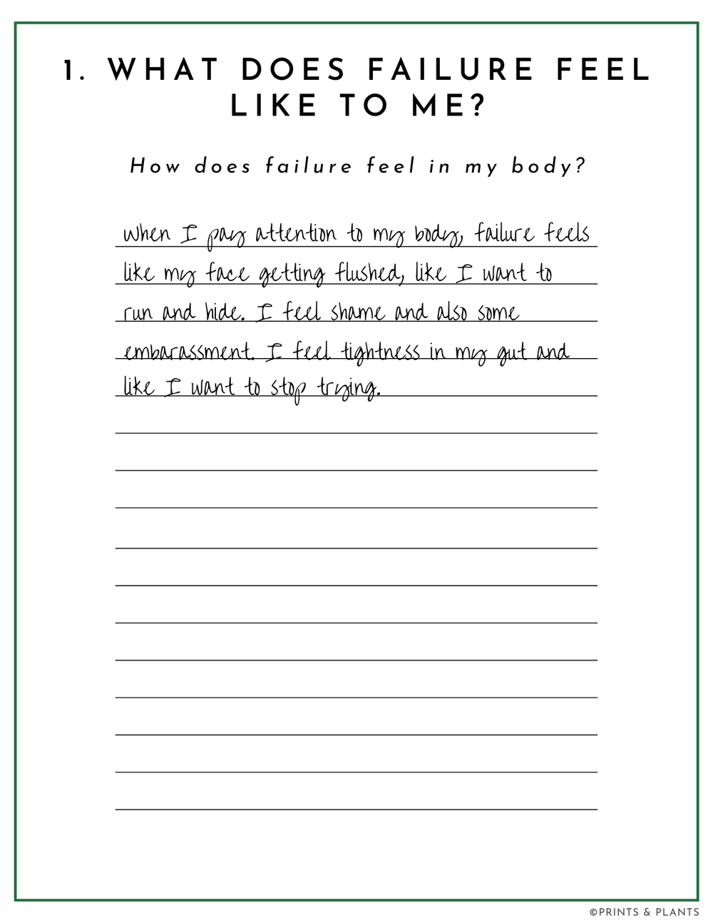 Field Guide Example - image 1 - student project