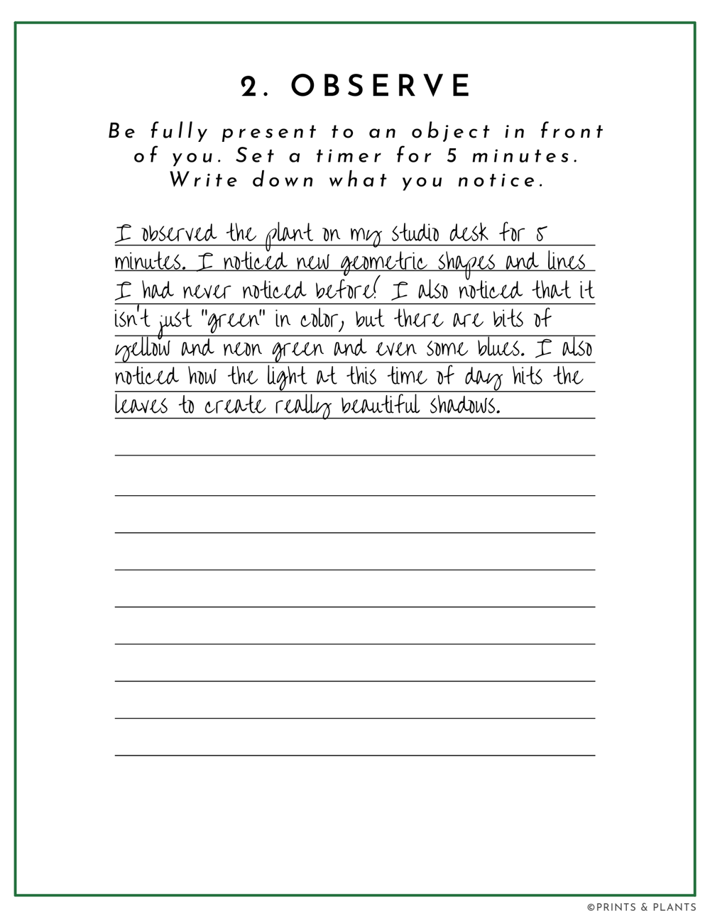Field Guide Example: Wide-Eyed Wonder - image 3 - student project