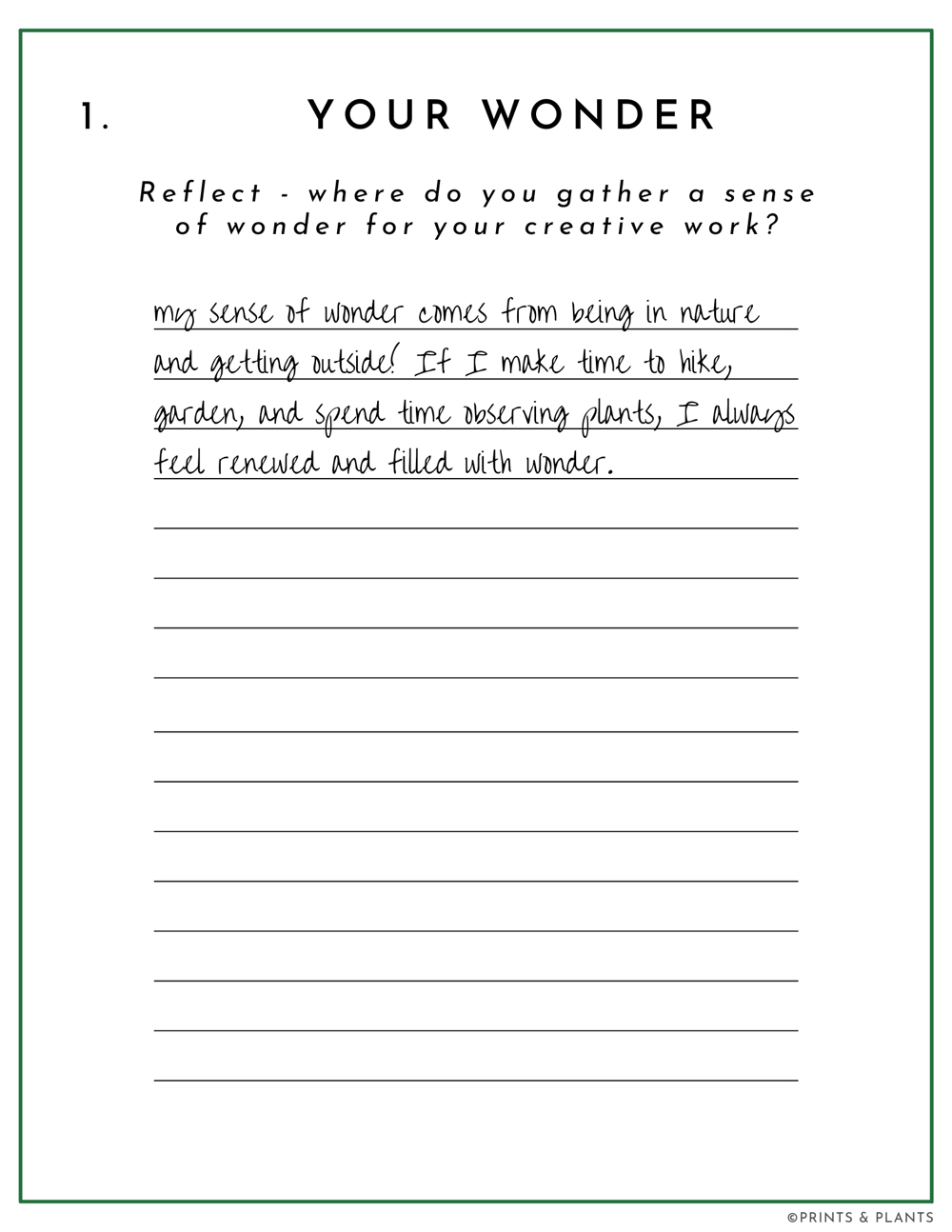 Field Guide Example: Wide-Eyed Wonder - image 2 - student project