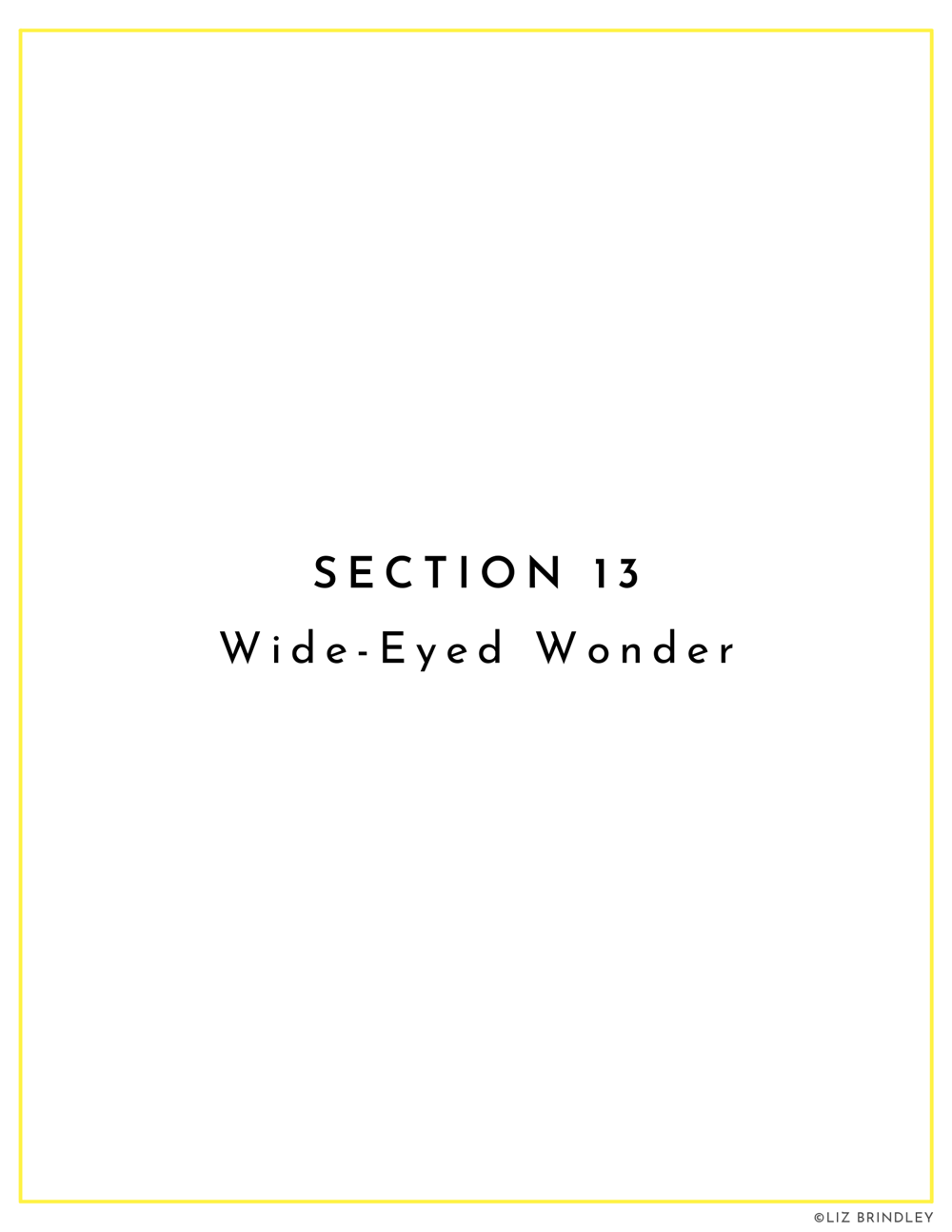 Field Guide Example: Wide-Eyed Wonder - image 1 - student project