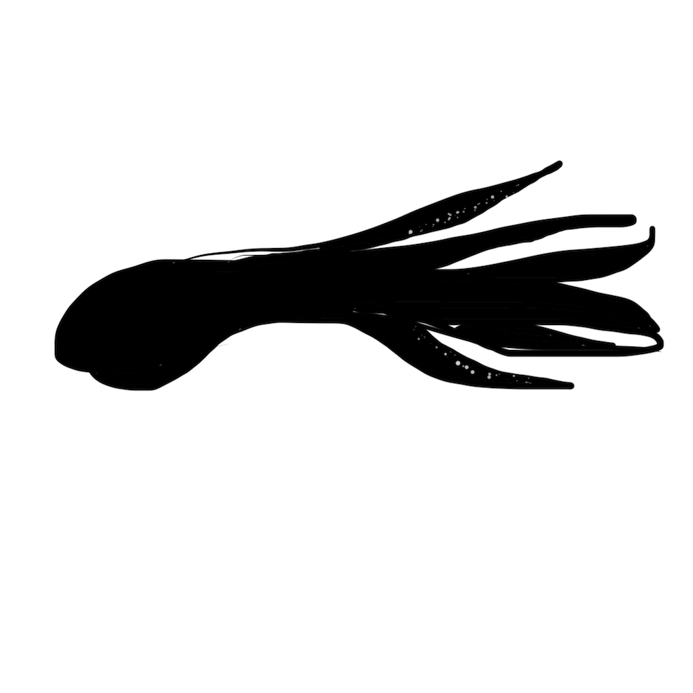 My Logo Development - image 1 - student project