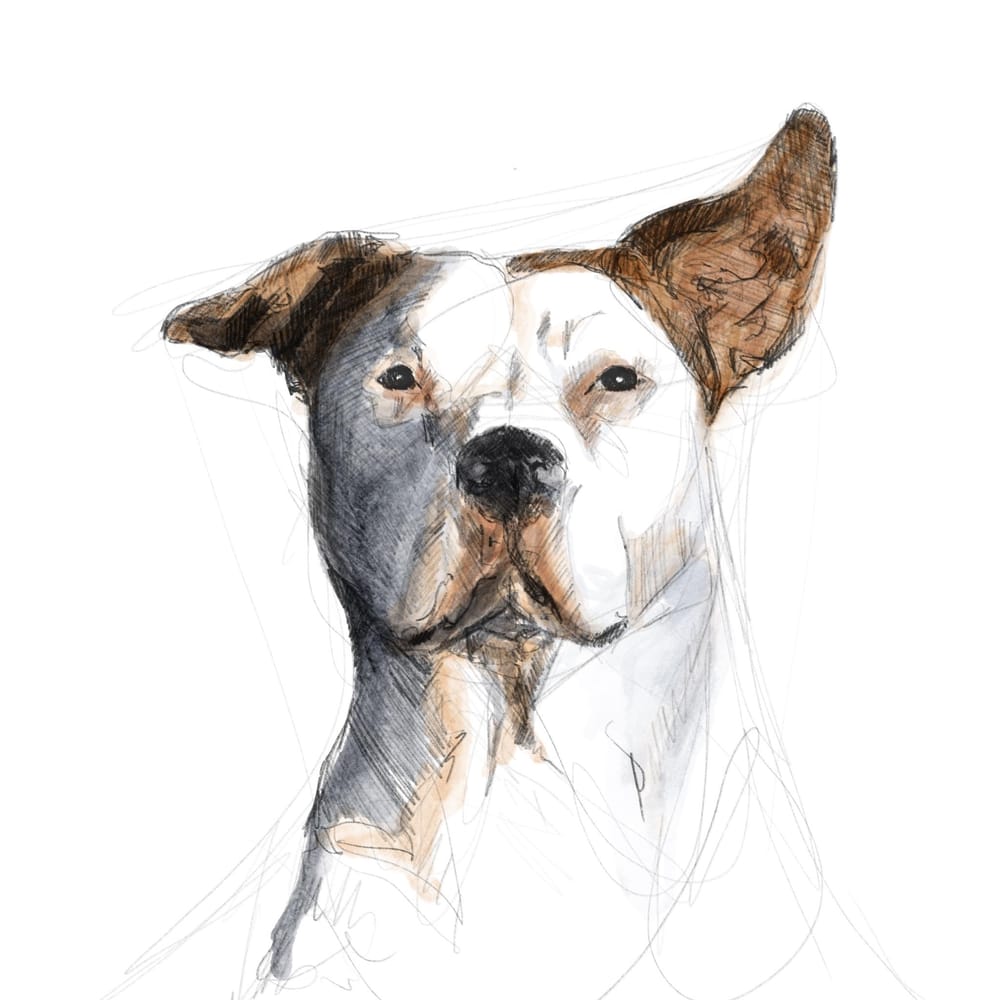 Bobby - image 2 - student project