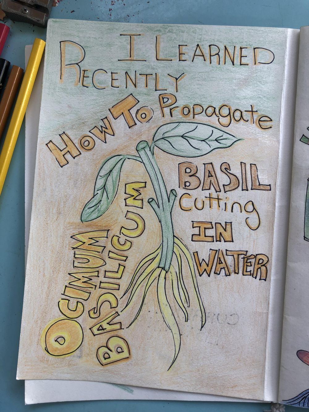 Illustrated Journaling Day 1 - 14 - image 11 - student project