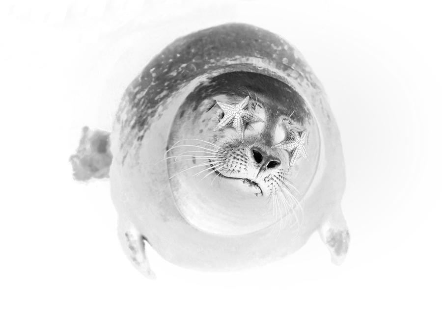 Linchpin dynamic Skillshare Student Project