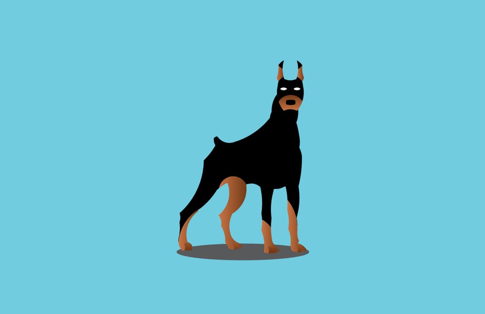 Doberman - image 1 - student project