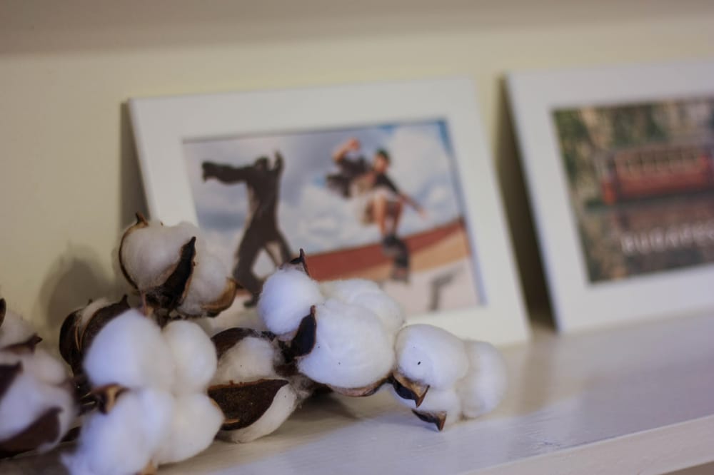 Exploring Manual and Aperture - image 1 - student project