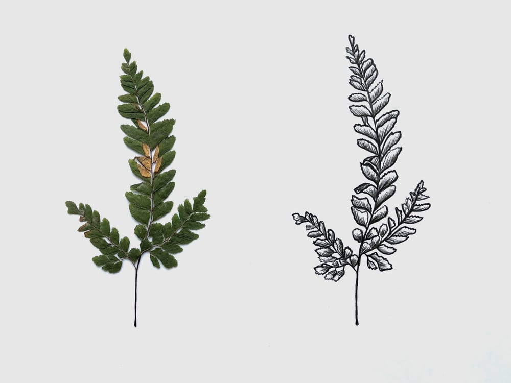 Tropical Leaves - image 3 - student project
