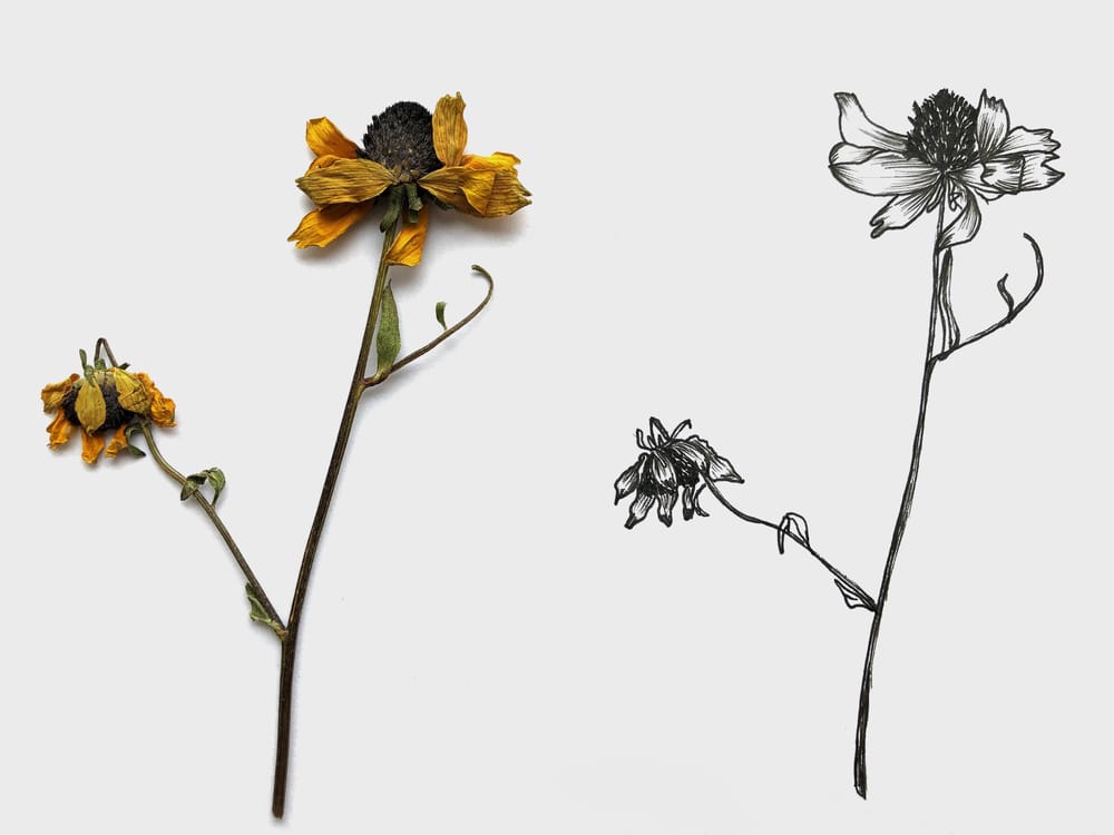 INK FLOWERS - image 4 - student project