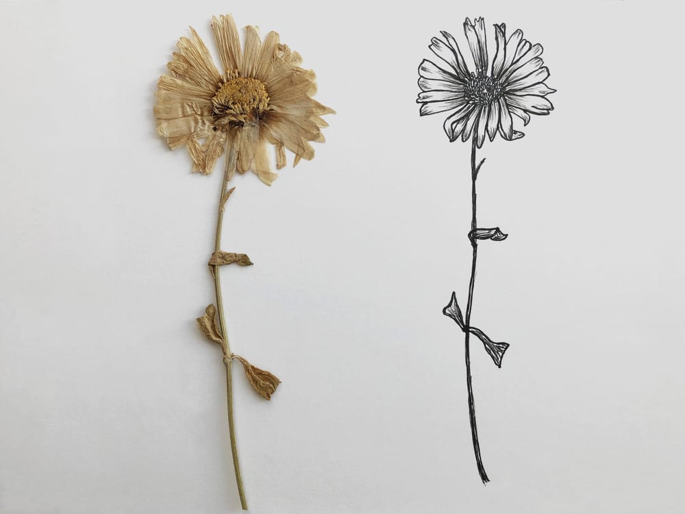INK FLOWERS - image 1 - student project