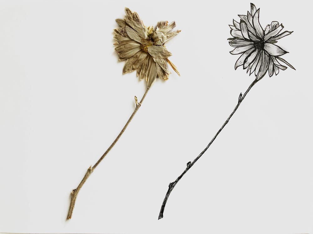 INK FLOWERS - image 3 - student project