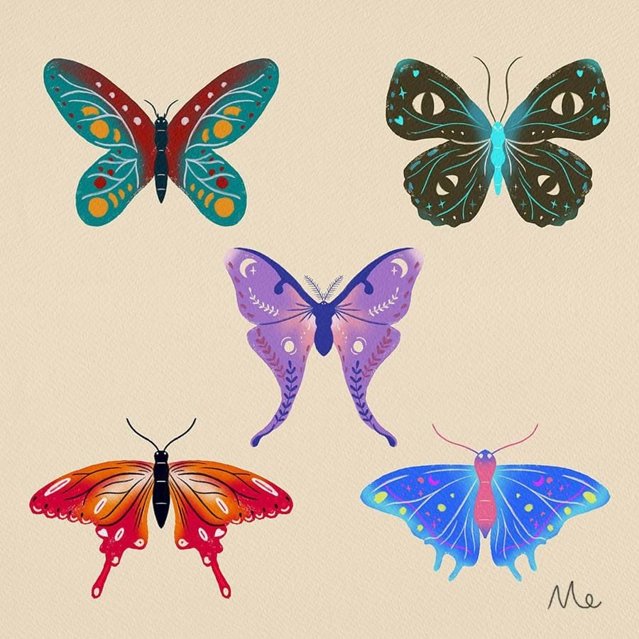 Butterfly collection - image 1 - student project