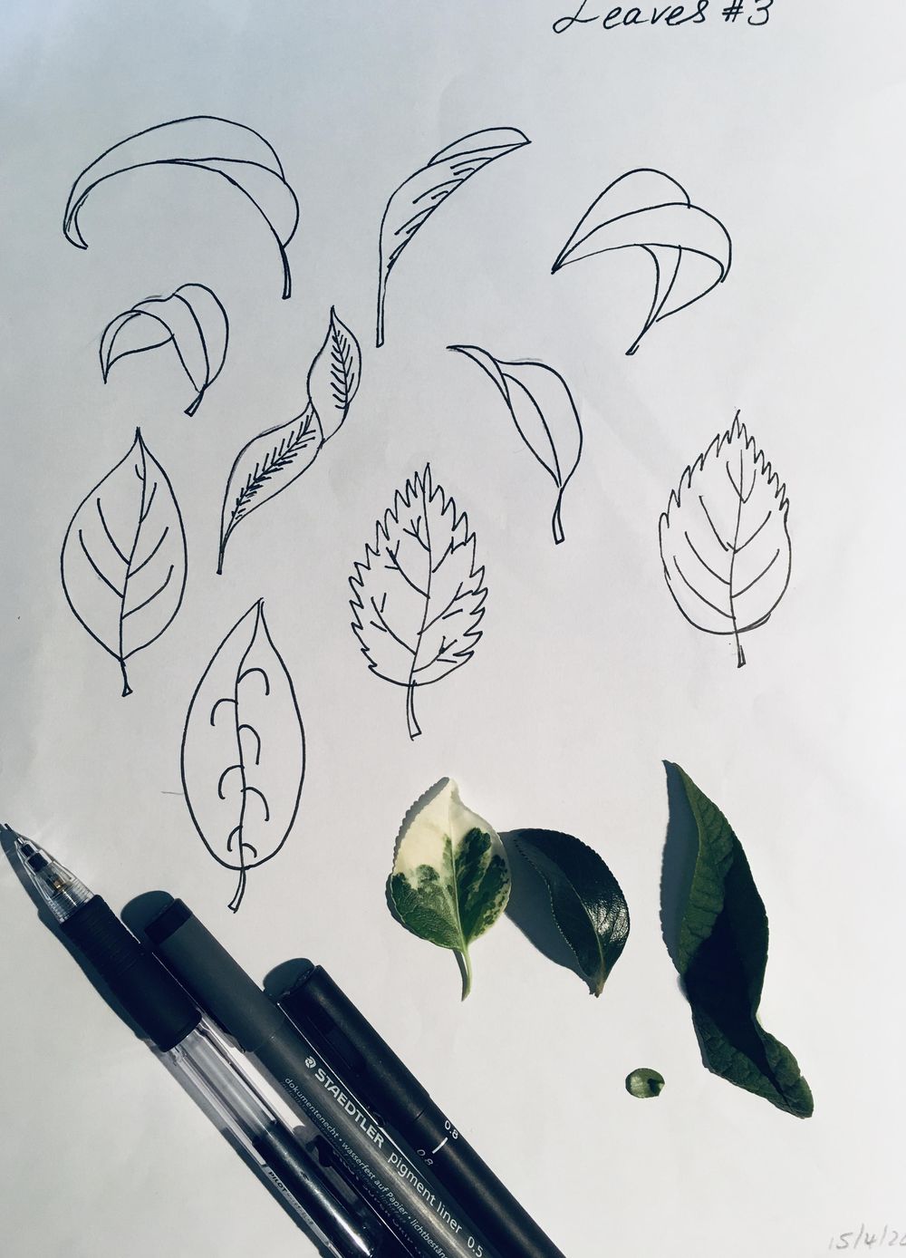 Trailing Pattern - Leaves - image 3 - student project