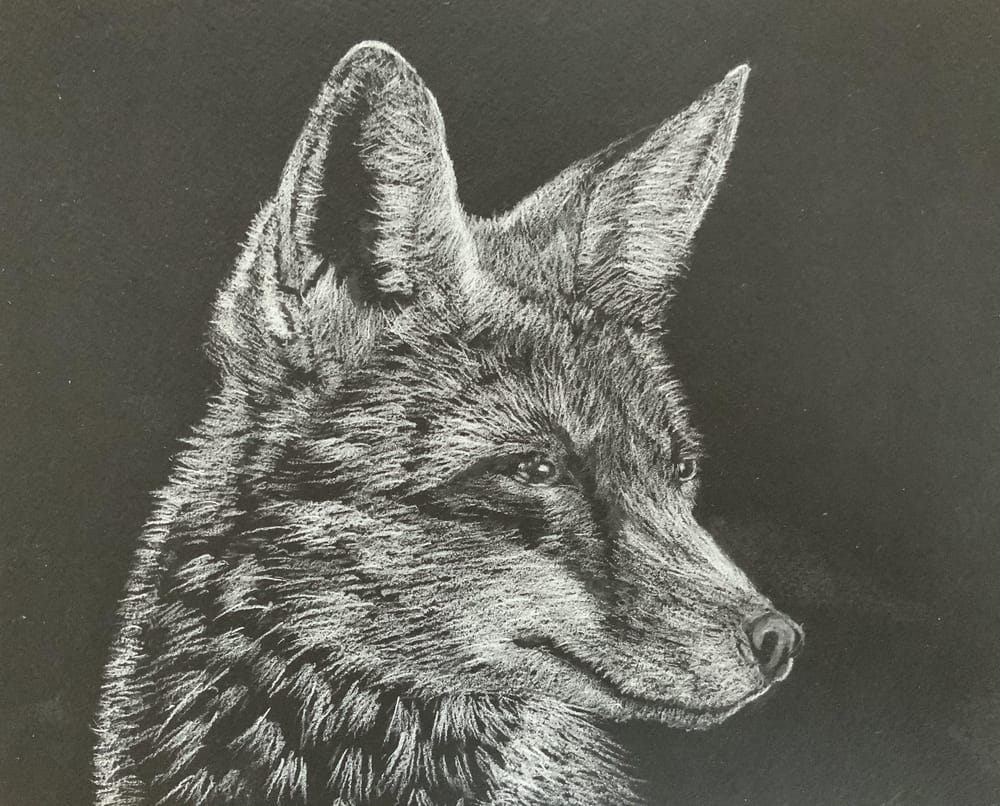 Fox - image 1 - student project