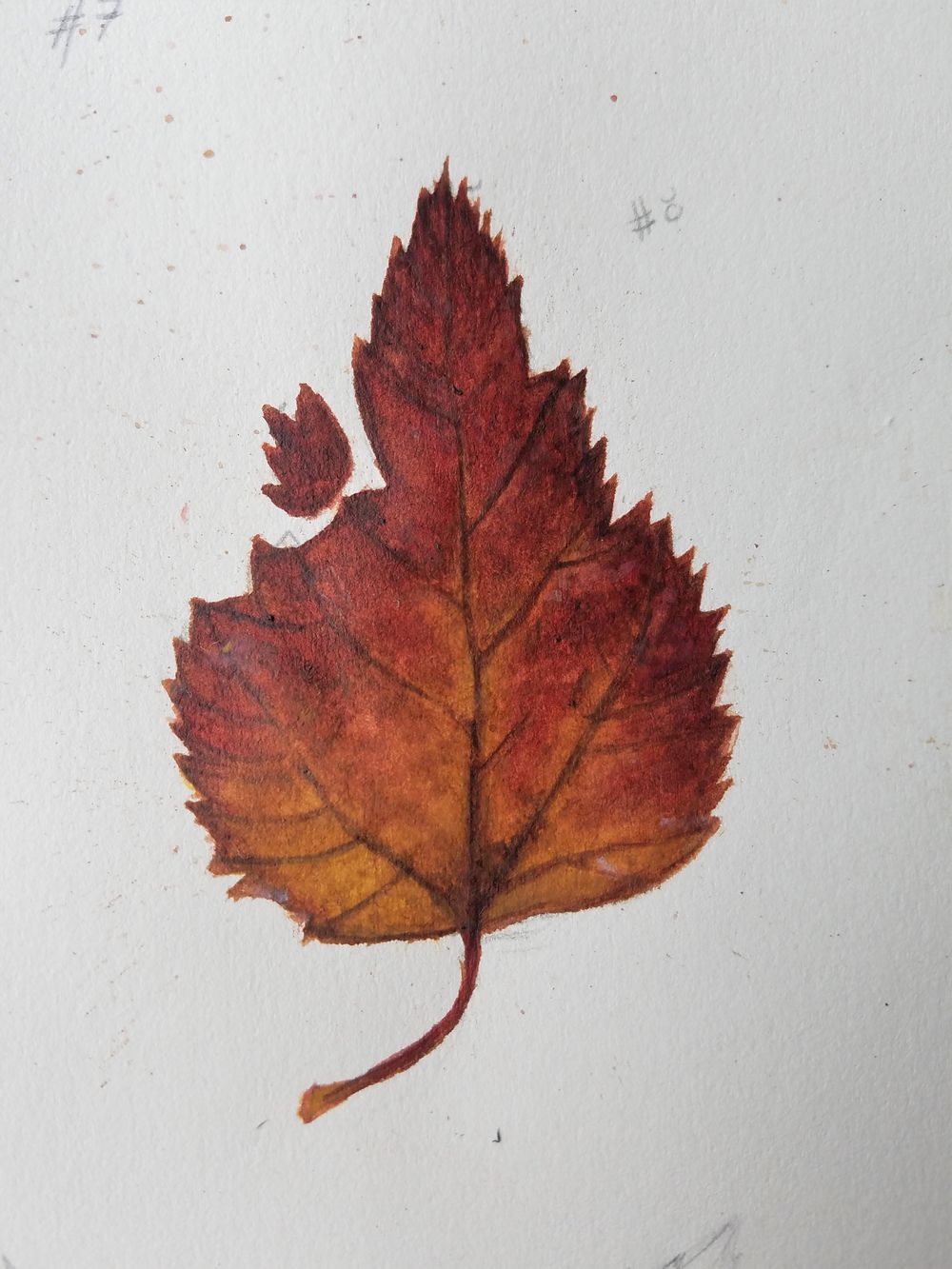 Watercolor in the woods! - image 1 - student project