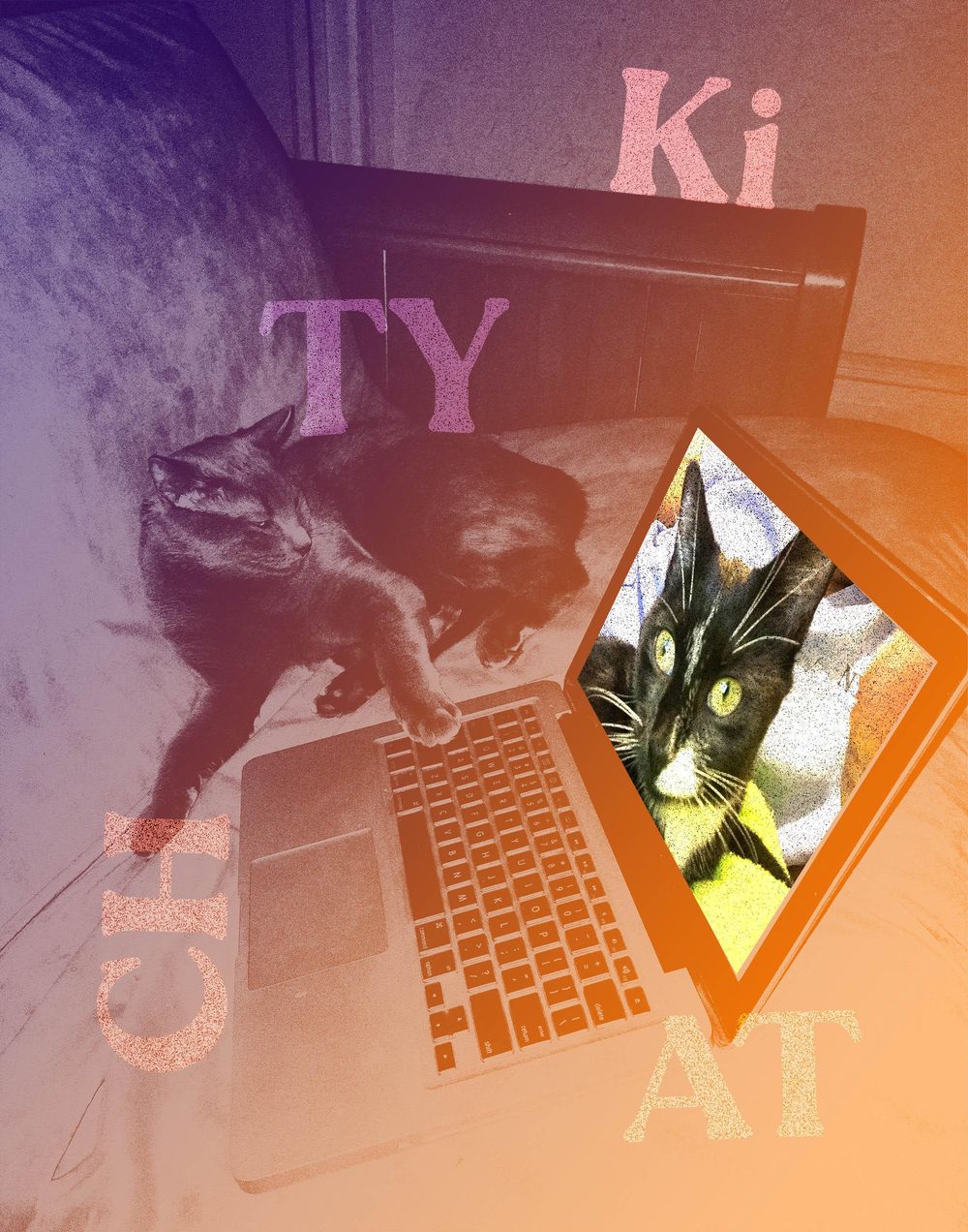 kitty-chat-skillshare-student-project