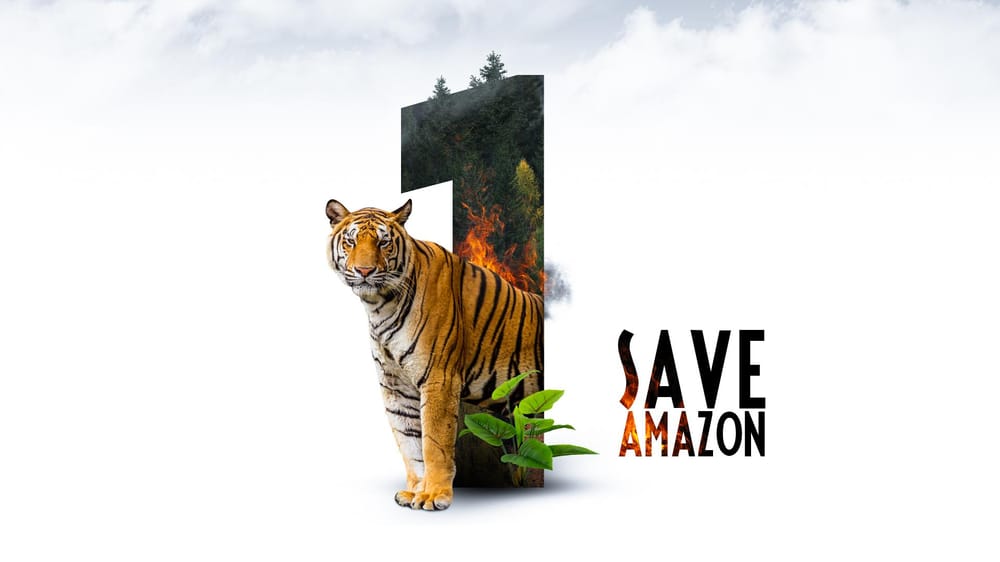 Photo Manipulation In Photoshop - image 1 - student project