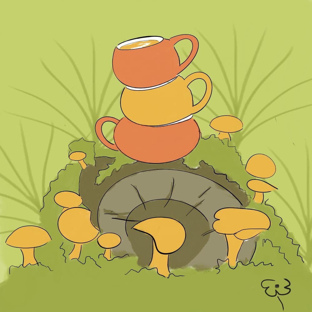 Class 2 - image 1 - student project
