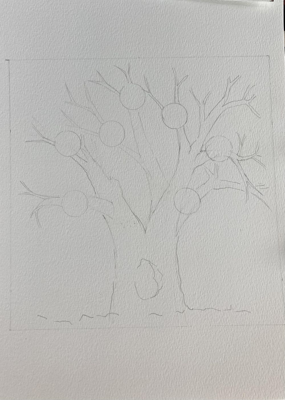 A family tree - image 2 - student project
