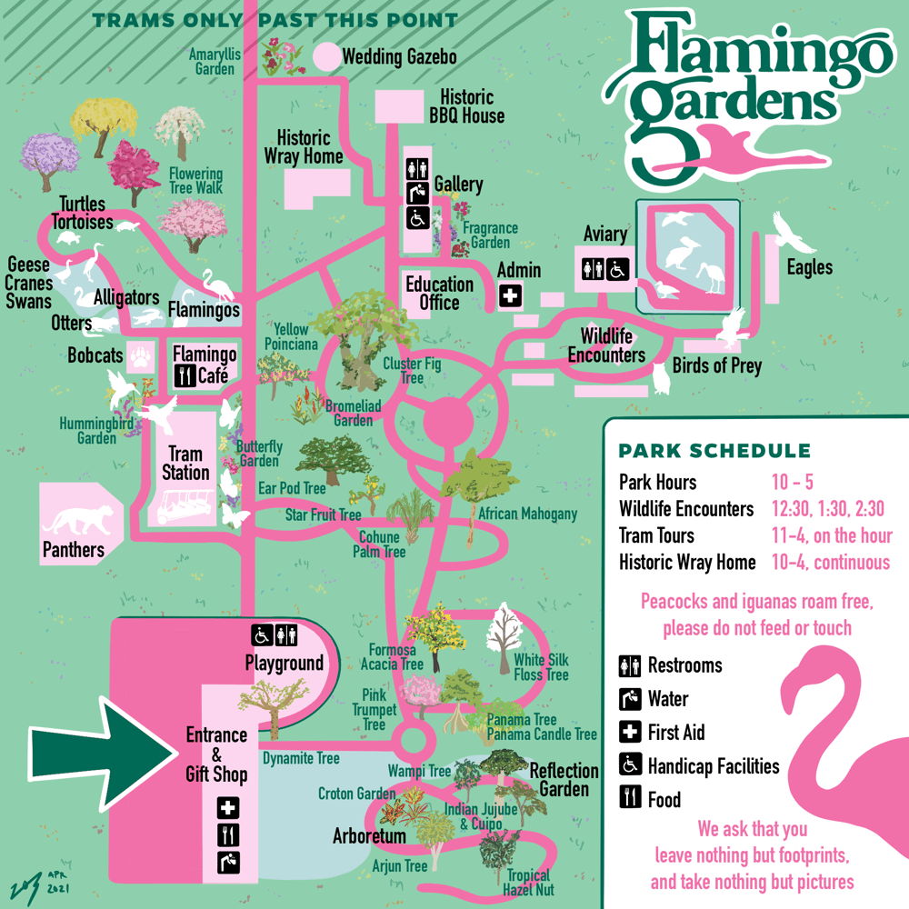 Flamingo Gardens Map Refresh Skillshare Student Project