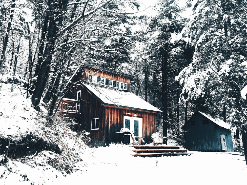 Cabin in the Woods - image 1 - student project