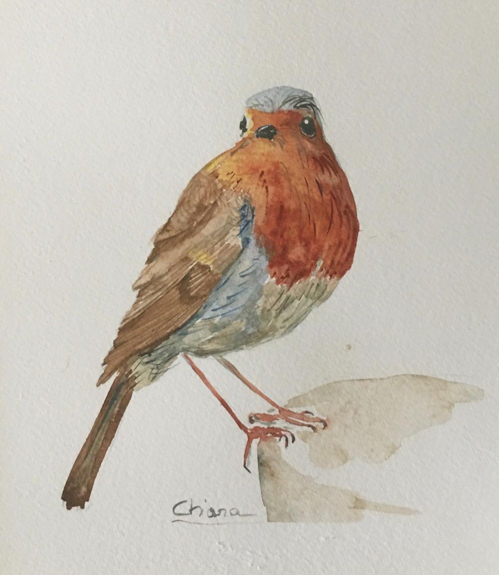 three birds - image 1 - student project