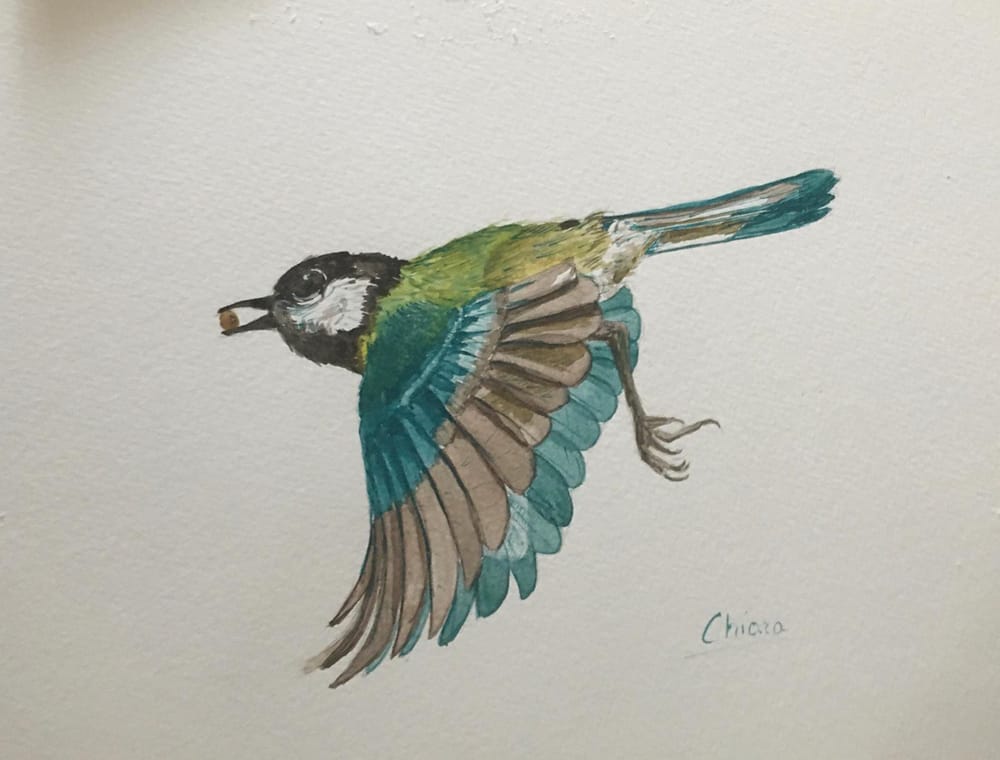 three birds - image 3 - student project