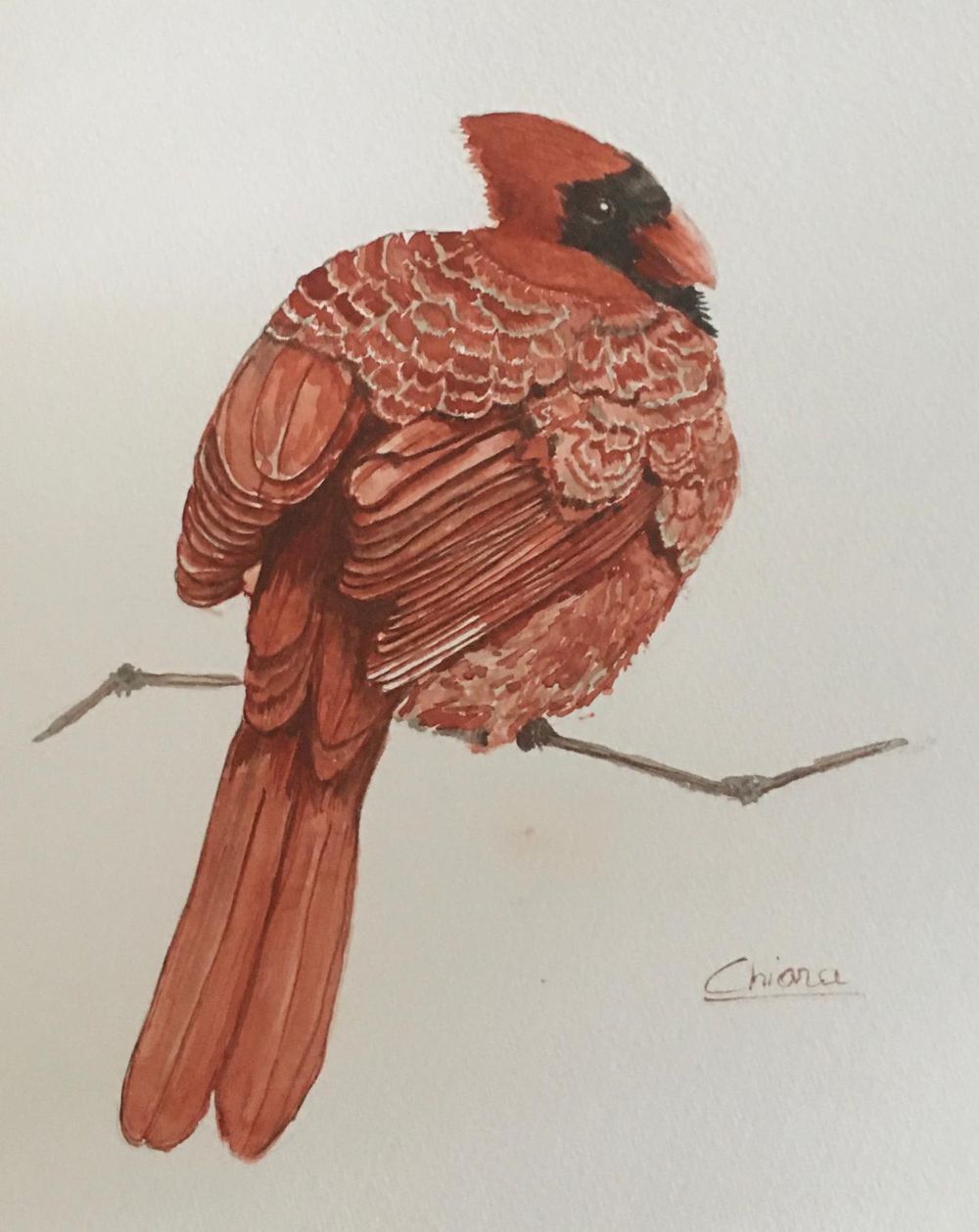 three birds - image 2 - student project