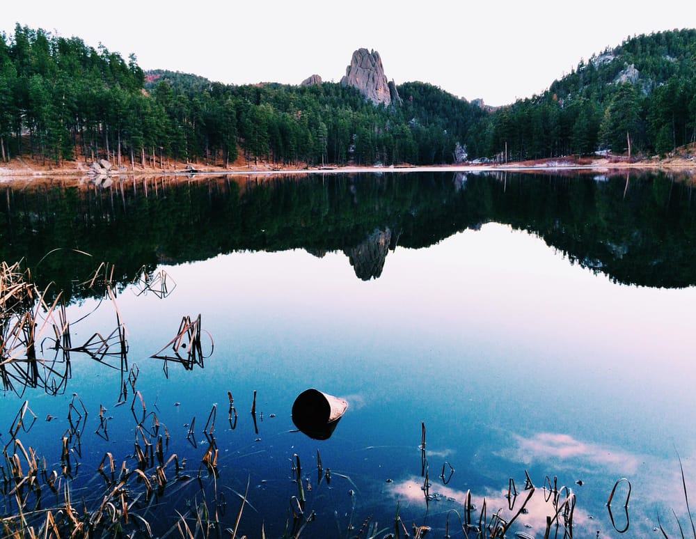 Black Hills, With Hearts - image 10 - student project