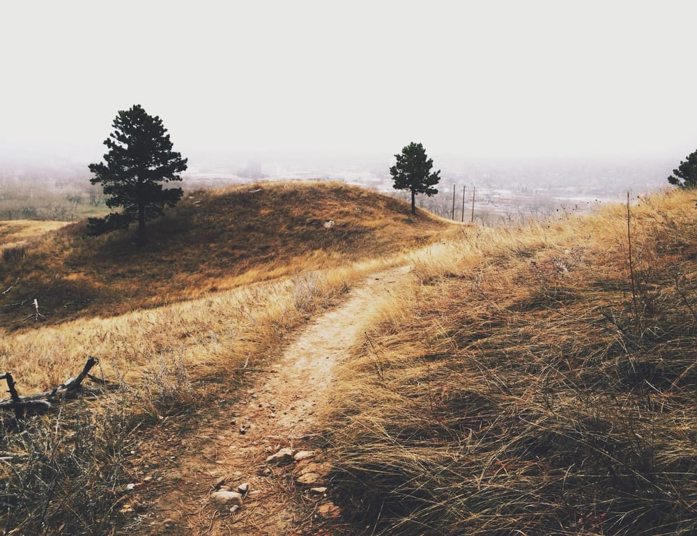 Black Hills, With Hearts - image 7 - student project