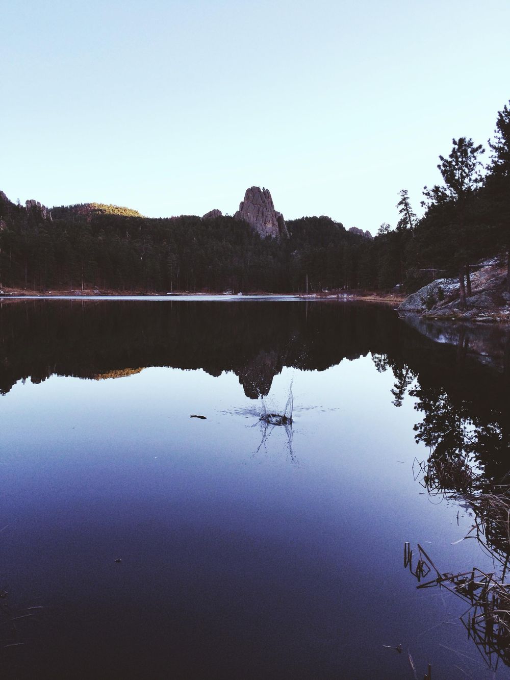Black Hills, With Hearts - image 12 - student project