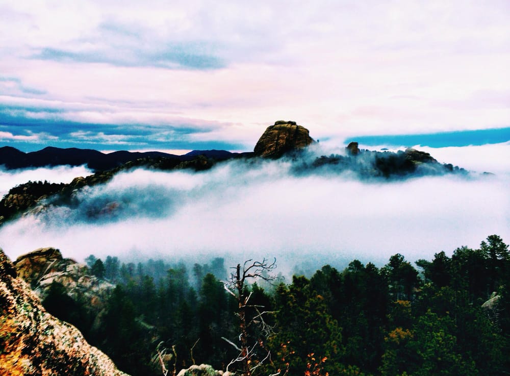 Black Hills, With Hearts - image 2 - student project