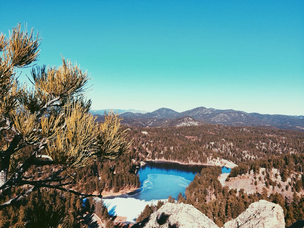 Black Hills, With Hearts - image 5 - student project