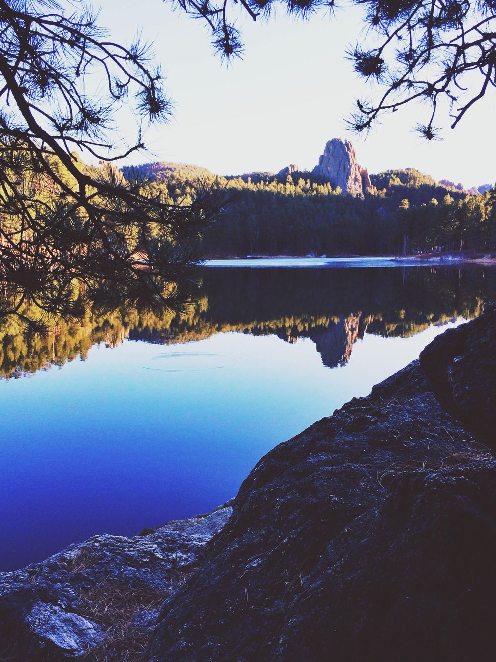 Black Hills, With Hearts - image 11 - student project