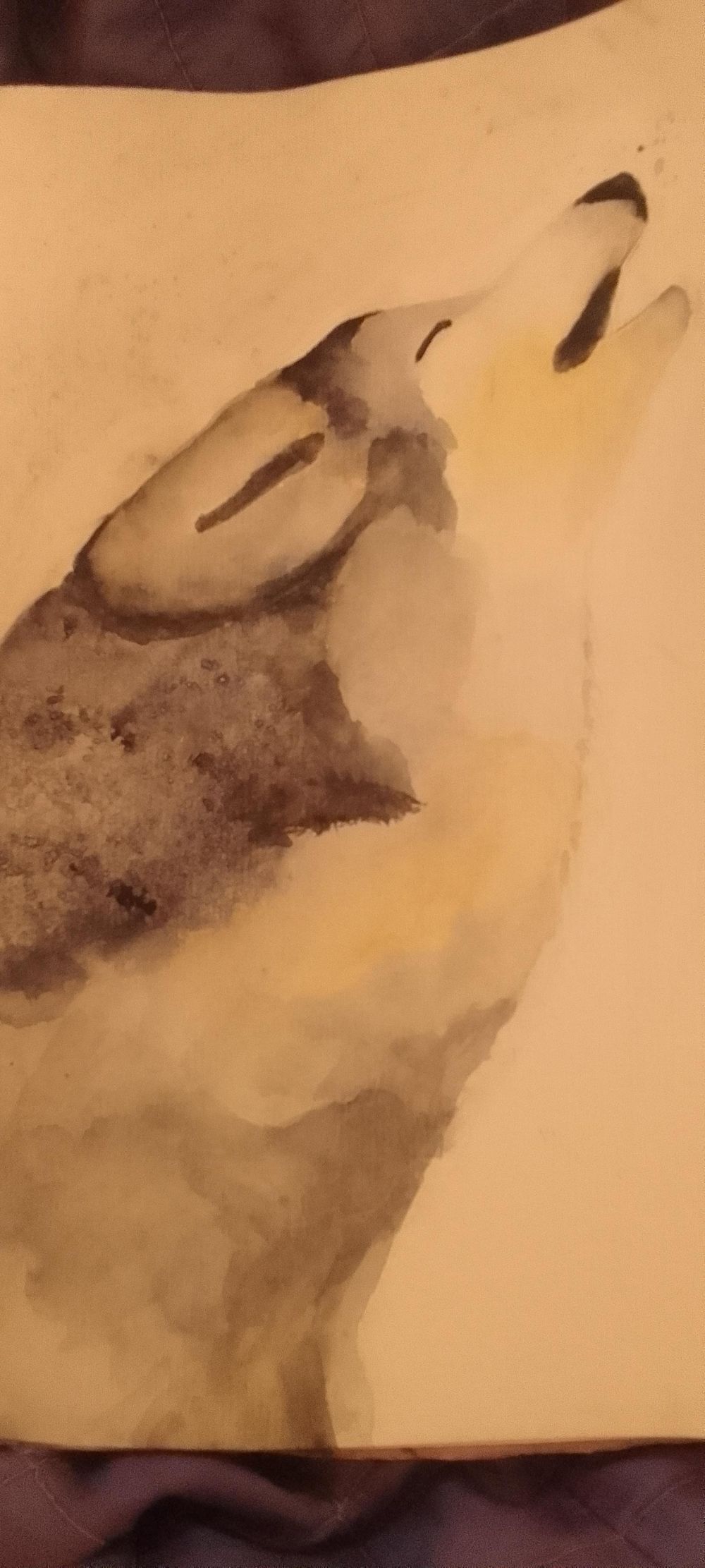 2nd wolf - image 2 - student project
