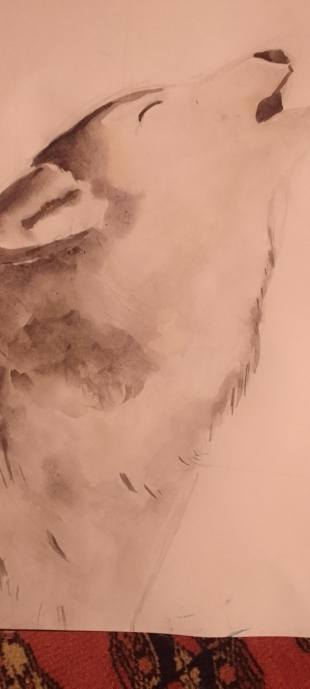 2nd wolf - image 3 - student project