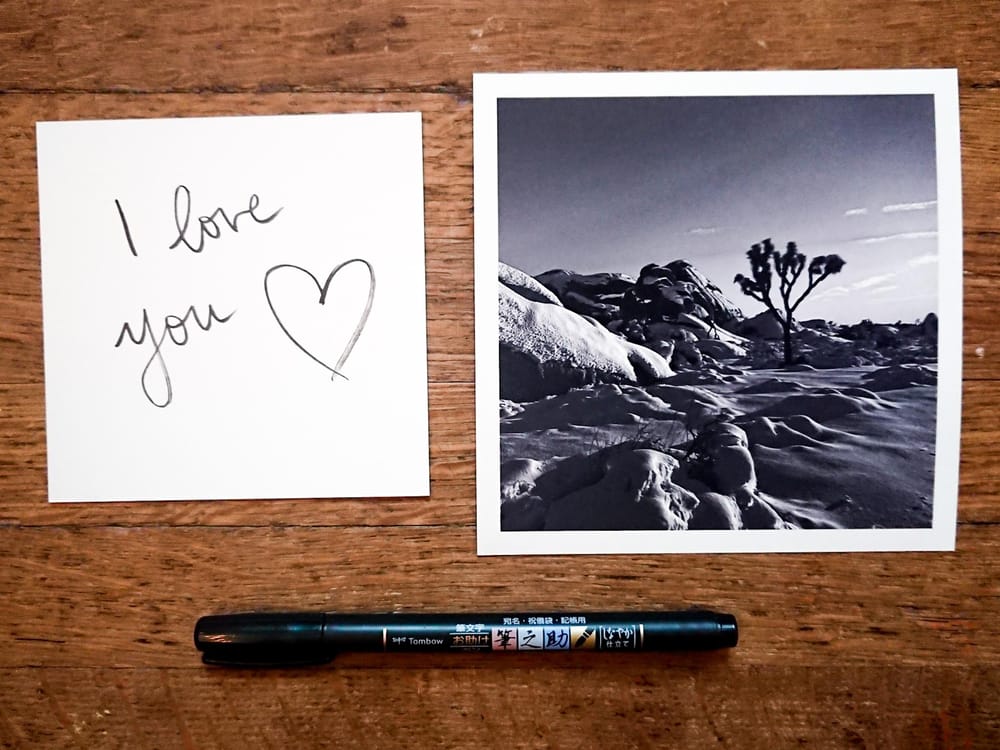 Photography prints and stationery - image 5 - student project