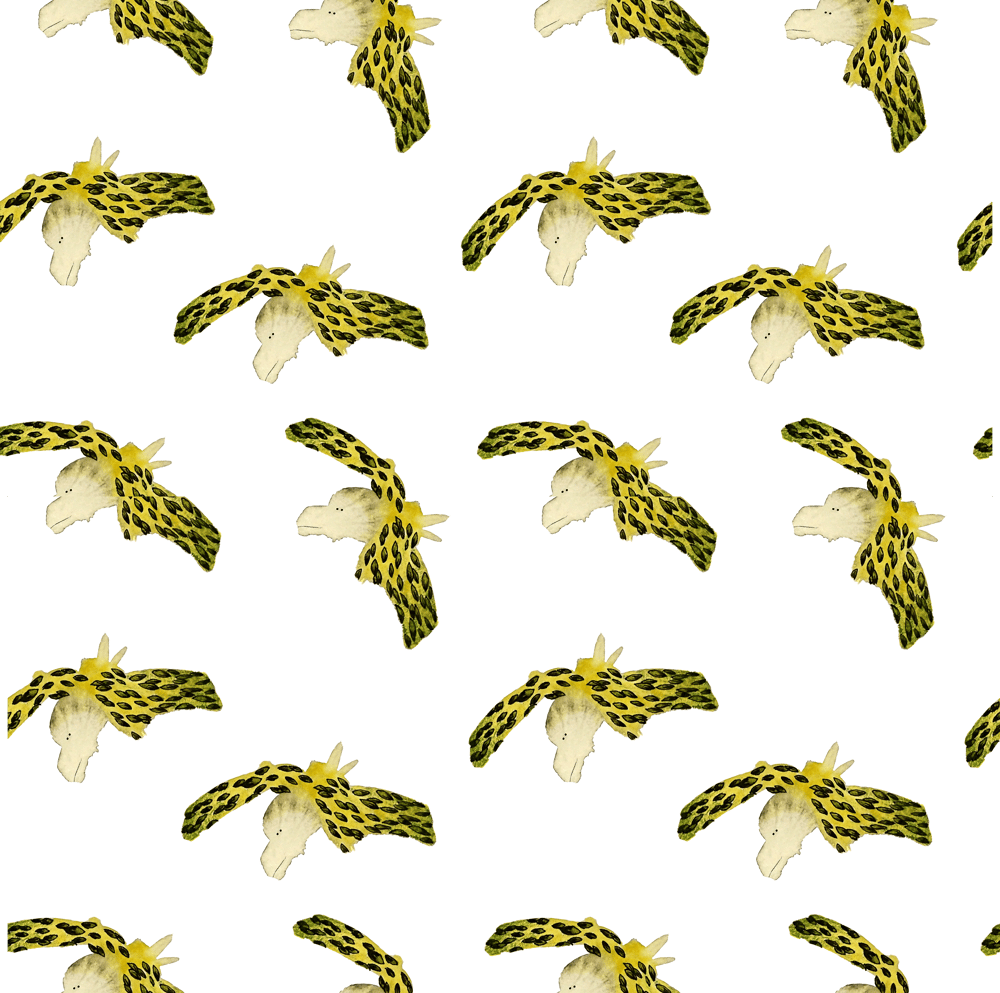 Cute animals patterns - image 1 - student project