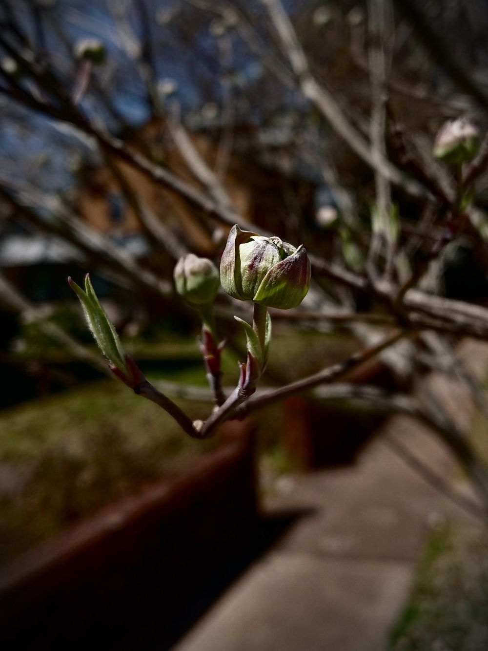Pretty nature - image 3 - student project