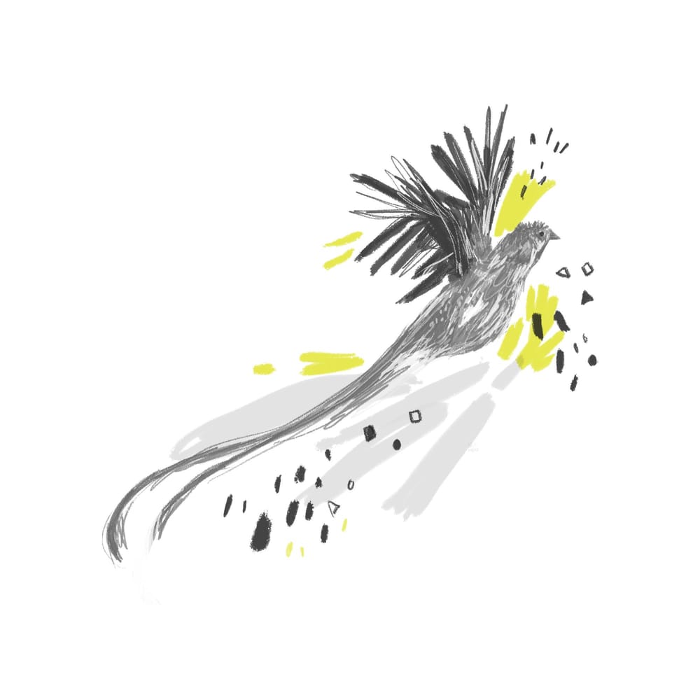 The style class - image 20 - student project
