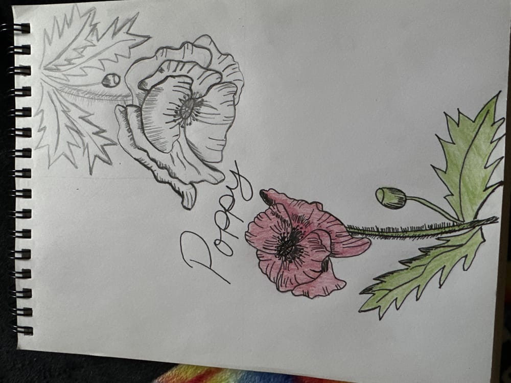 Poppy Practice - image 1 - student project