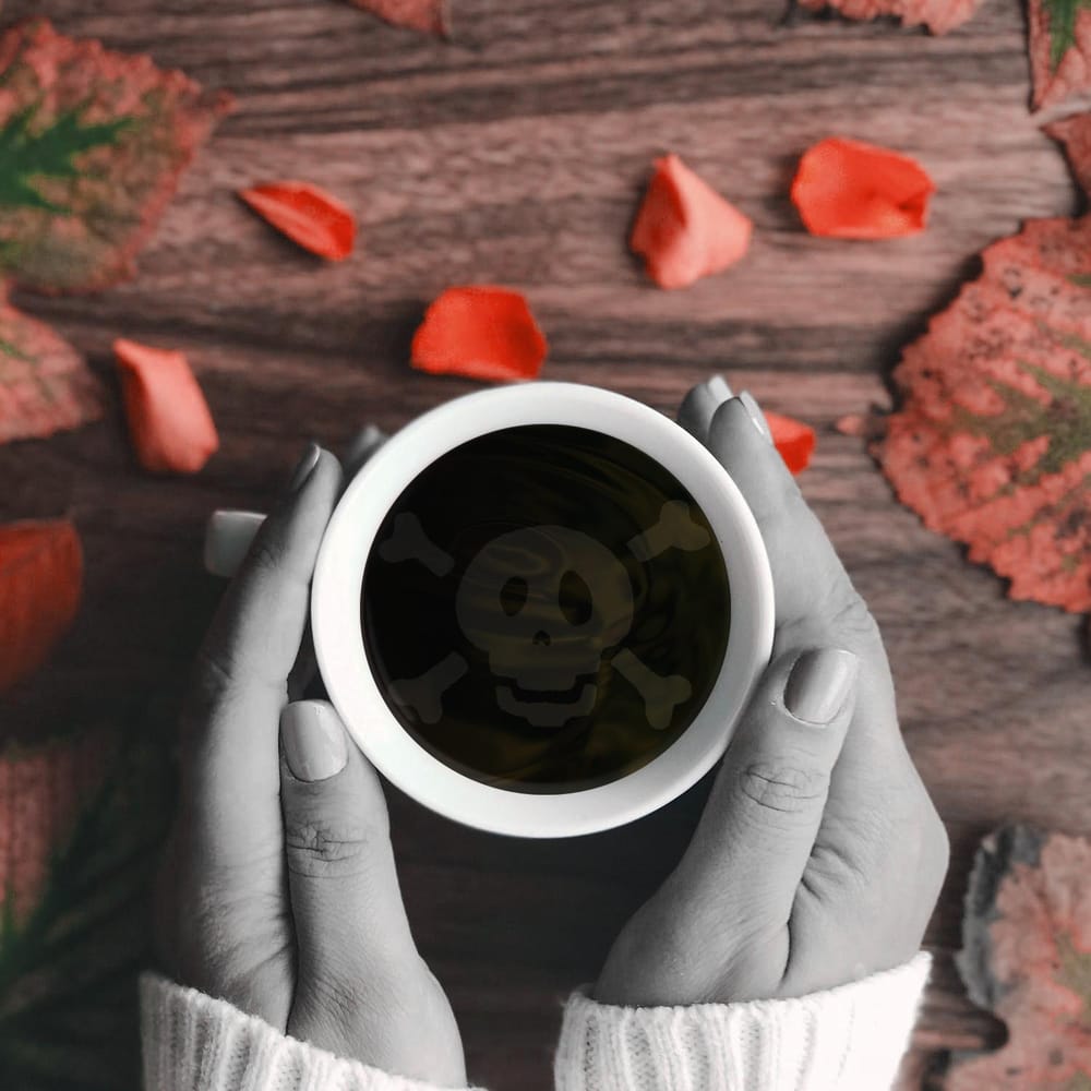 Class Projects - image 2 - student project