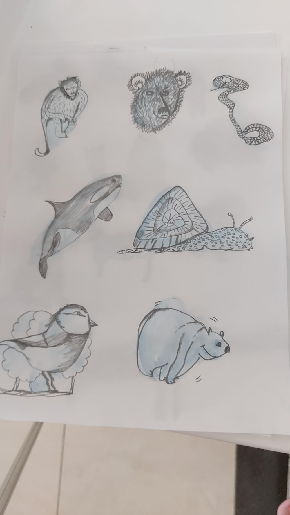 Berna's animals - image 2 - student project