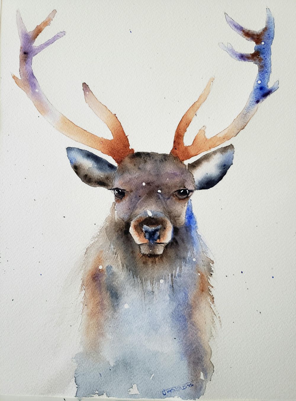 A festive Stag - image 1 - student project