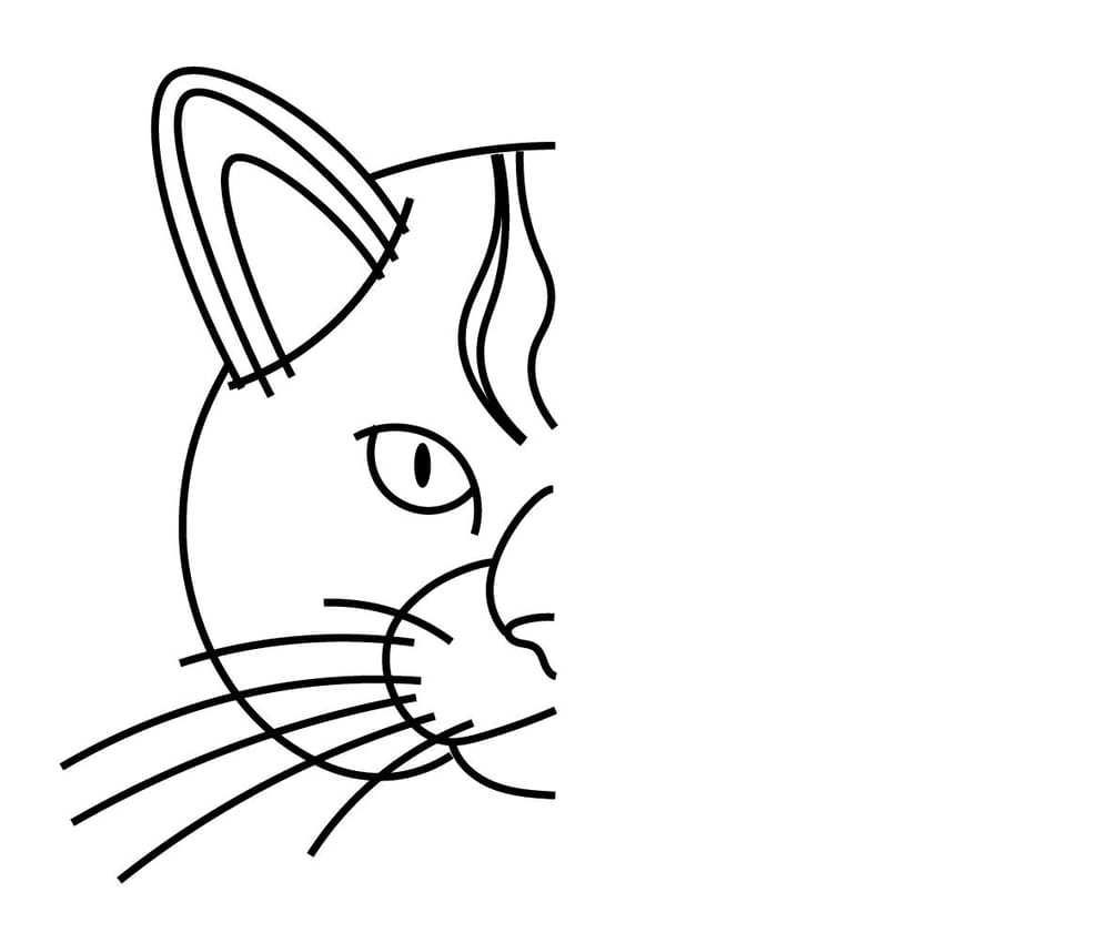 Cat Pin - Vector Pen Tool - image 1 - student project