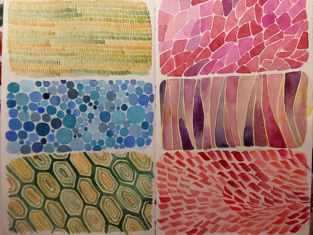 Texture Turtle - image 1 - student project